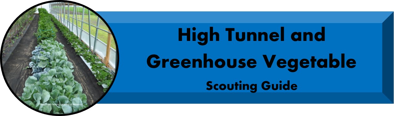 High Tunnel and Greenhouse Scouting Guide