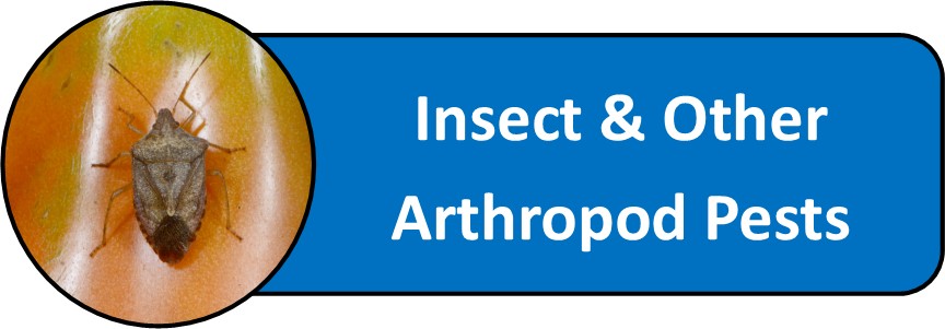 Insect & Other Arthropod Pests