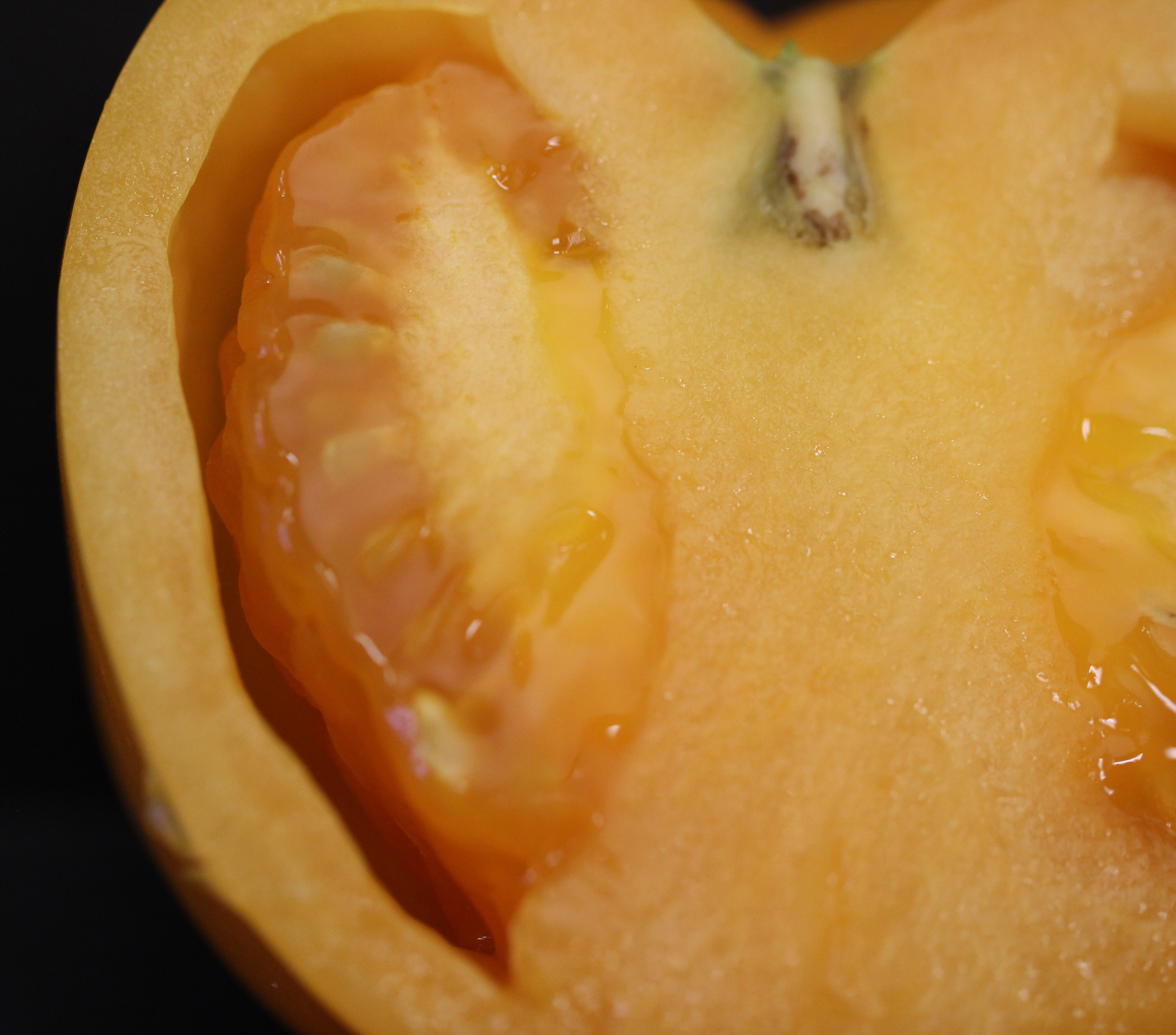 Puffiness of tomato fruit internal symptoms.