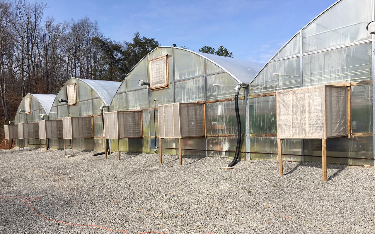 Insect screening over greenhouse openings and gravel around exterior.