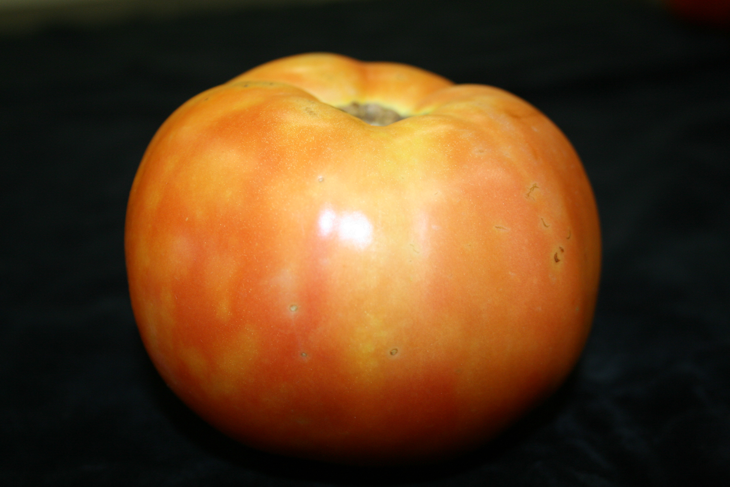 Blotchy ripening on tomato.