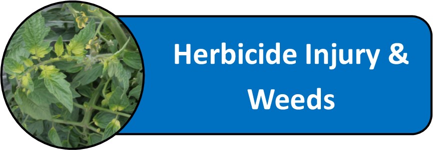 Herbicide Injury & Weeds