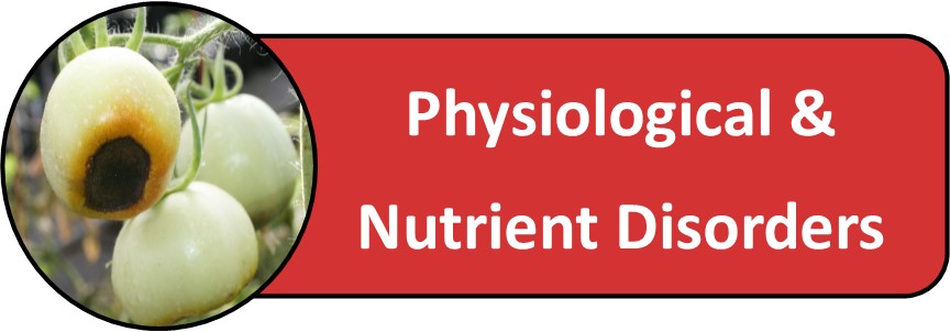 Physiological & Nutritional Disorders