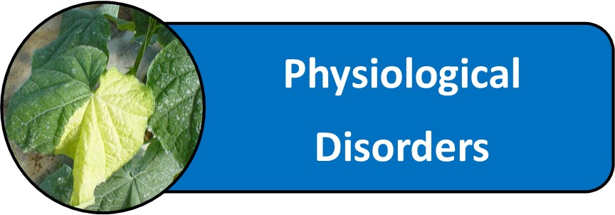 Physiological Disorders
